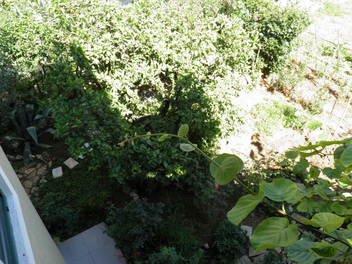 Apartman Mia Biograd Biograd Na Moru Εξωτερικό φωτογραφία